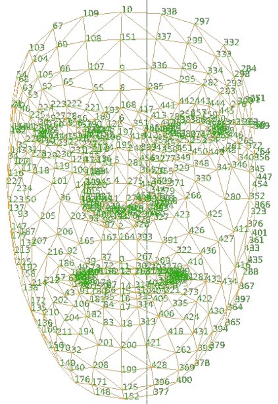 face map